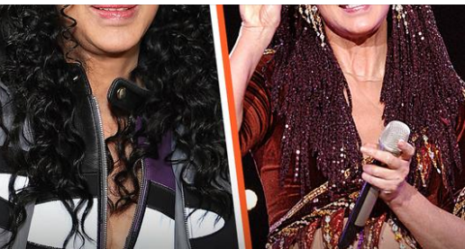 “You’re too old to dress like a 20-year-old,” an online user stated about Cher’s revealing outfits in her 70s.