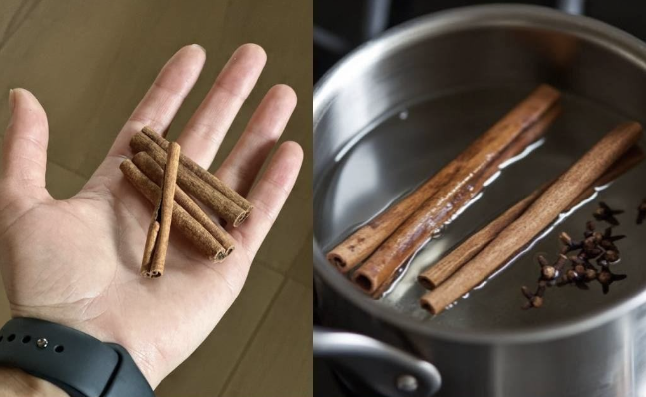 Cinnamon and Cloves Together: A Simple Combination With Powerful Benefits